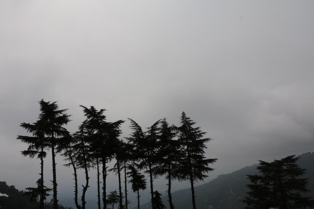 Pema Thang Hotel Kangra Luaran gambar